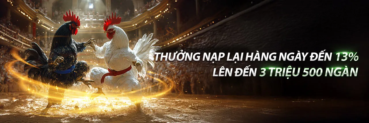 Sân vận động bóng đá sôi động với logo vn123 bet